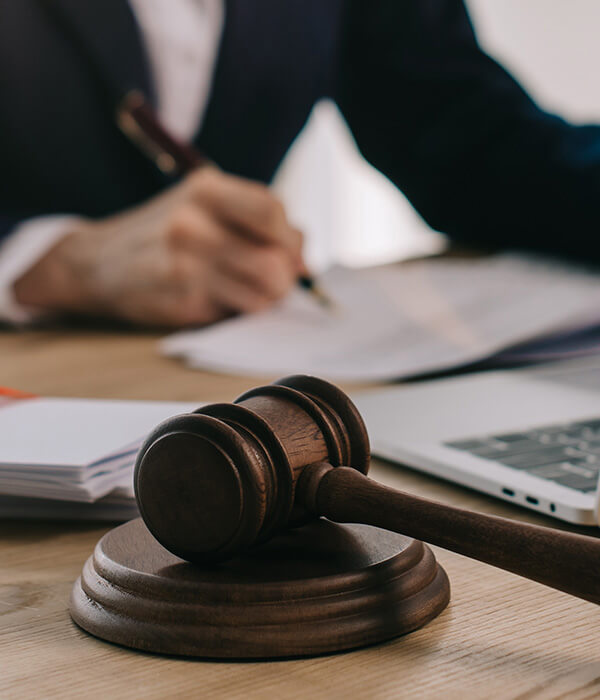 Tax Appeal & Litigation Services